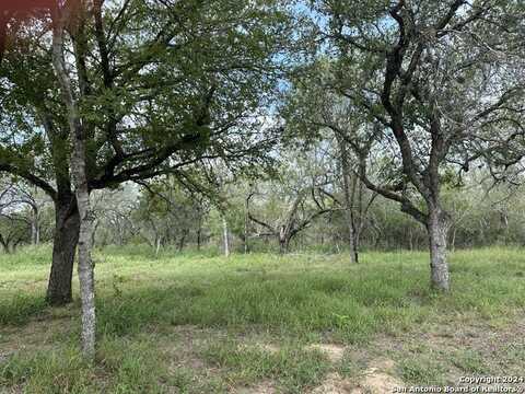 20588 S State Highway 16, Atascosa, TX 78002