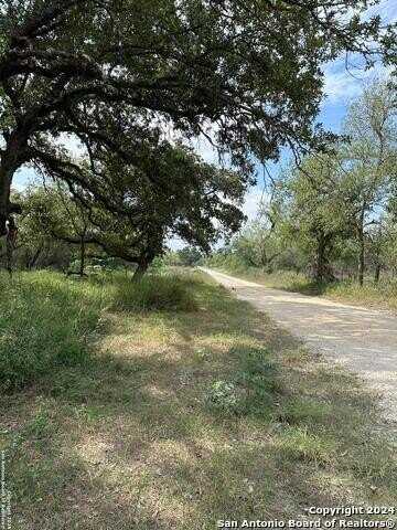 20594 S STATE HIGHWAY 16, Atascosa, TX 78264