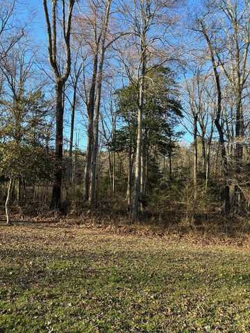 Lot 121 WOLFRIDGE LANE, HORNTOWN, VA 23395