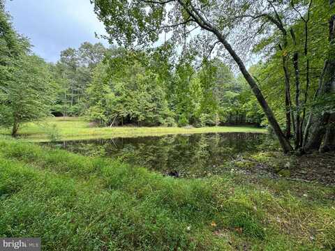 Lot 0110 MOUNTAIN TRACK ROAD, ORANGE, VA 22960