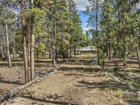 265 Placer Drive, Alma, CO 80420