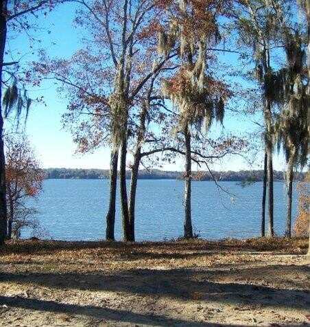 0 Lots 2, 3, 4 Point Drive, Georgetown, GA 39854