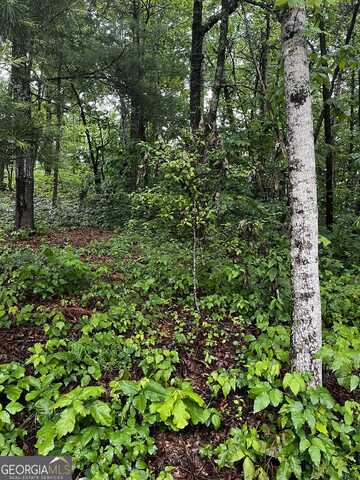 Lot 9 Mcridge Drive, Hiawassee, GA 30546