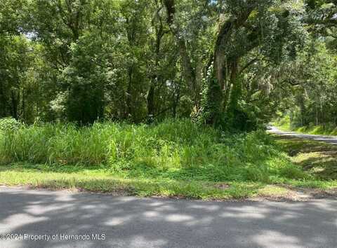 0 Hale Avenue, Brooksville, FL 34601