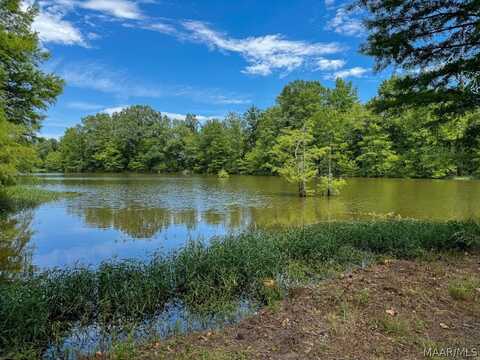 1864 Cove Lake Drive, Camden, AL 36726