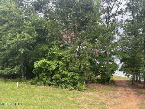 Chestnut Hill, Flora, MS 39071