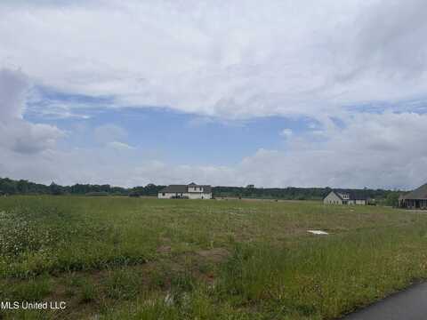 Mulberry Drive, Brandon, MS 39047