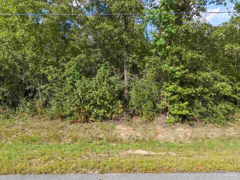 Parcel 14 Sid Hayes Rd, Jay, FL 32565