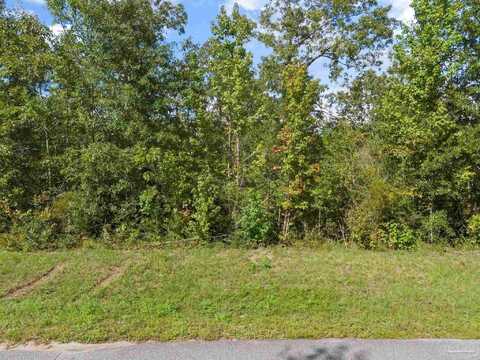 Parcel 13 Sid Hayes Rd, Jay, FL 32565