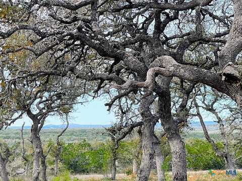 Tbd Windmill Ridge, Blanco, TX 78606