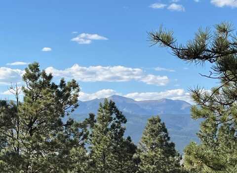 Lot 141 Back Basin Road, Angel Fire, NM 87710