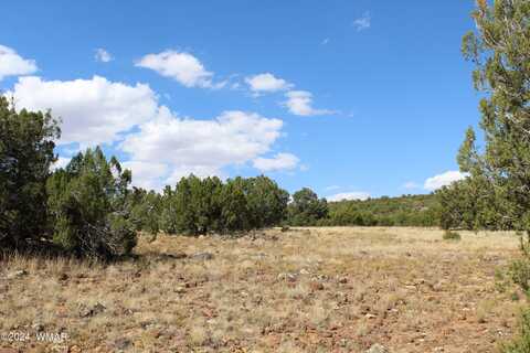 63 County Road 8025, Concho, AZ 85924