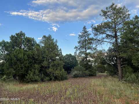 3621 N Mountain Creek Trail, Lakeside, AZ 85929