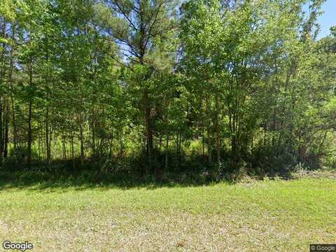 County Road 215, MIDDLEBURG, FL 32068