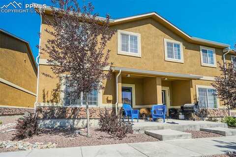 Black Spruce, COLORADO SPRINGS, CO 80908