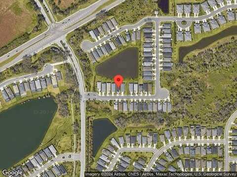 Sand Pine, PARRISH, FL 34219