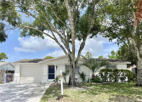 Bigelow, HOLIDAY, FL 34691