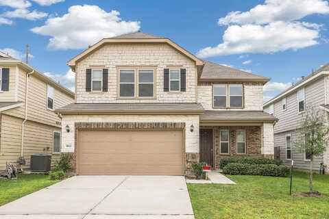 Monterey Cypress, HOUSTON, TX 77068