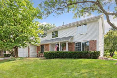 Mountain, CHANHASSEN, MN 55317