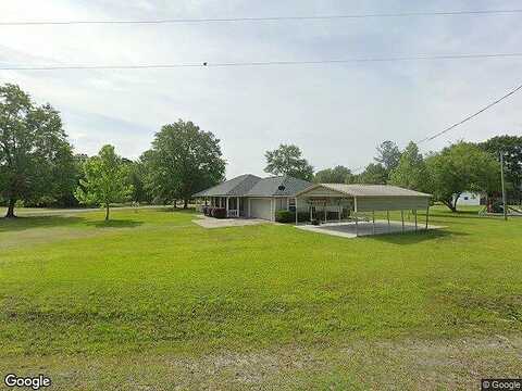 Dove, FOLKSTON, GA 31537