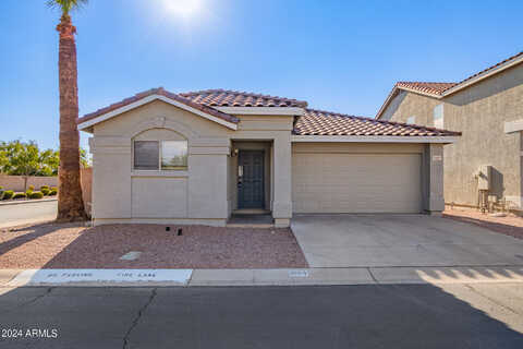 Spruce, CHANDLER, AZ 85286