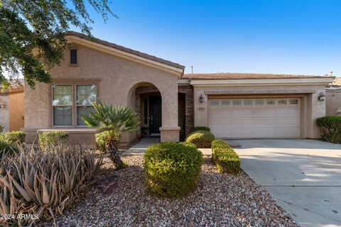 Donato, GILBERT, AZ 85298