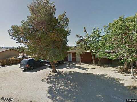 Cassia, YUCCA VALLEY, CA 92284