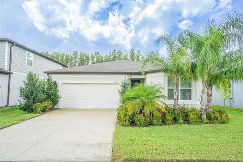 Monza, LAND O LAKES, FL 34638