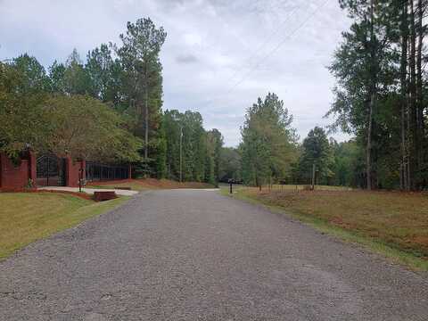 Laney, LOCUST GROVE, GA 30248