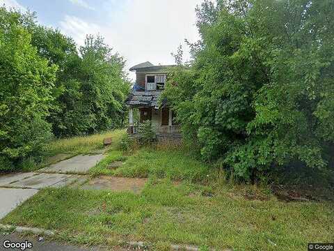 Newport, DETROIT, MI 48215