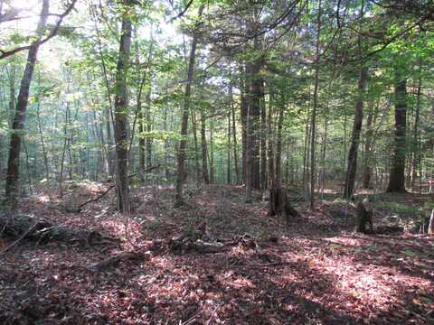 Lot 59 Cayuga Rd, Old Forge, NY 13420