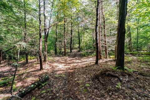 55 Otis-Tolland Rd, Lot 2 --, Blandford, MA 01008