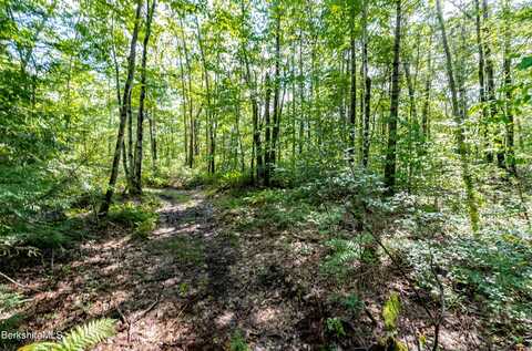 55 Otis-Tolland Rd, Lot 1 --, Blandford, MA 01008