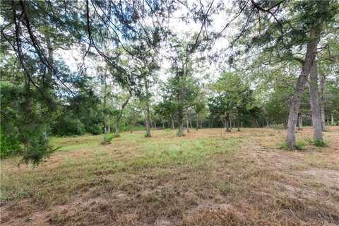 Tbd Grape Cir (1.2 Acres), Somerville, TX 77879