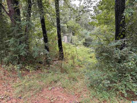 171 REBECCA DRIVE, REMLAP, AL 35133