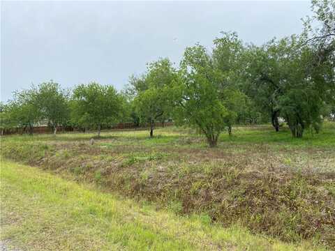 0 Cemetery, Sinton, TX 78387