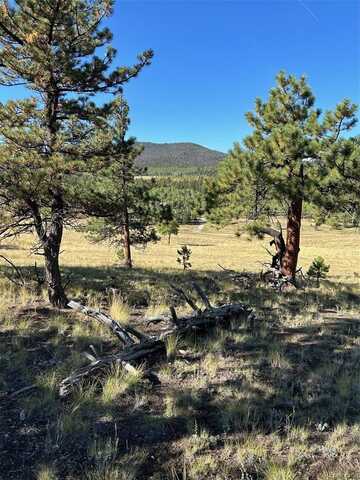 3078 Singletree Road, Hartsel, CO 80449