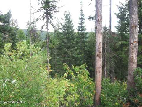 Nka Parallel Run BLK 6 LOT 10, Sandpoint, ID 83864