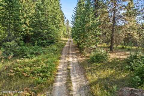 Nka S Dunlap RD, Harrison, ID 83833