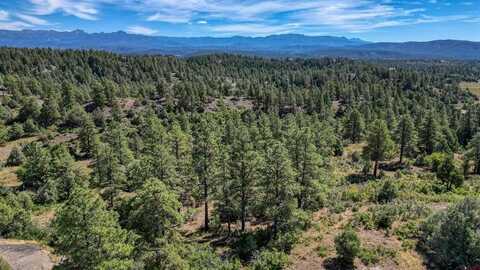 128 S Feather Court, Pagosa Springs, CO 81147