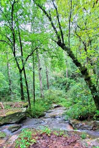 Lot 6 Falls Drive, Mill Spring, NC 28756