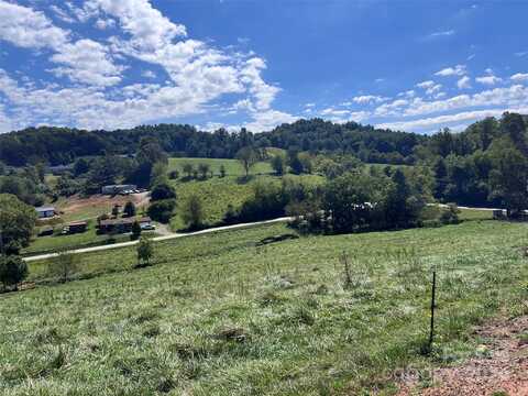 11 N Turkey Creek Road, Leicester, NC 28748