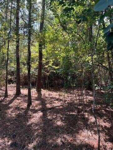 000 Wedgewood Drive, Bonifay, FL 32425