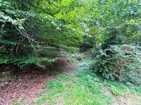 00 Johnson Hollow Road, Pikeville, KY 41501