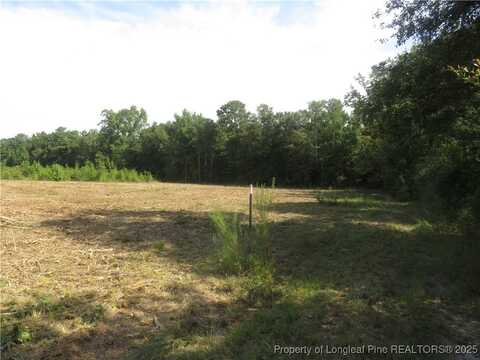 Survey Drive lot: E, Fairmont, NC 28340