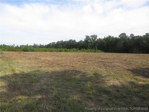 Survey Drive lot: D, Fairmont, NC 28340