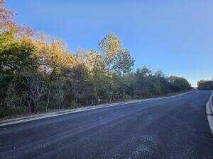 Lot 120 Emerald Isle Drive, Hollister, MO 65672