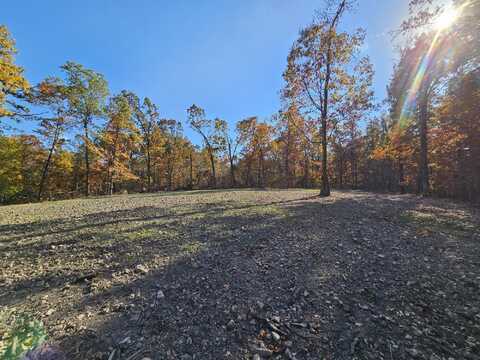 Tract 4 Coble Lane, Anderson, MO 64831