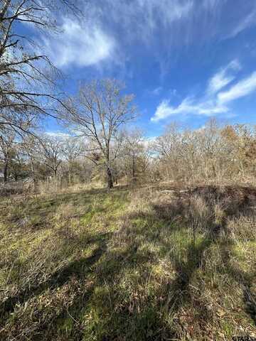 TBD CR 2213, Palestine, TX 75801