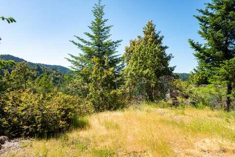 9225 Wilder Ridge Road, Ettersburg, CA 95542